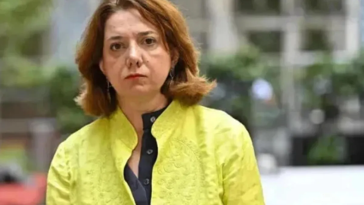„იწყება საფუძვლის მზადება ევროკავშირში გაწევრიანების განაცხადის გასაუქმებლად