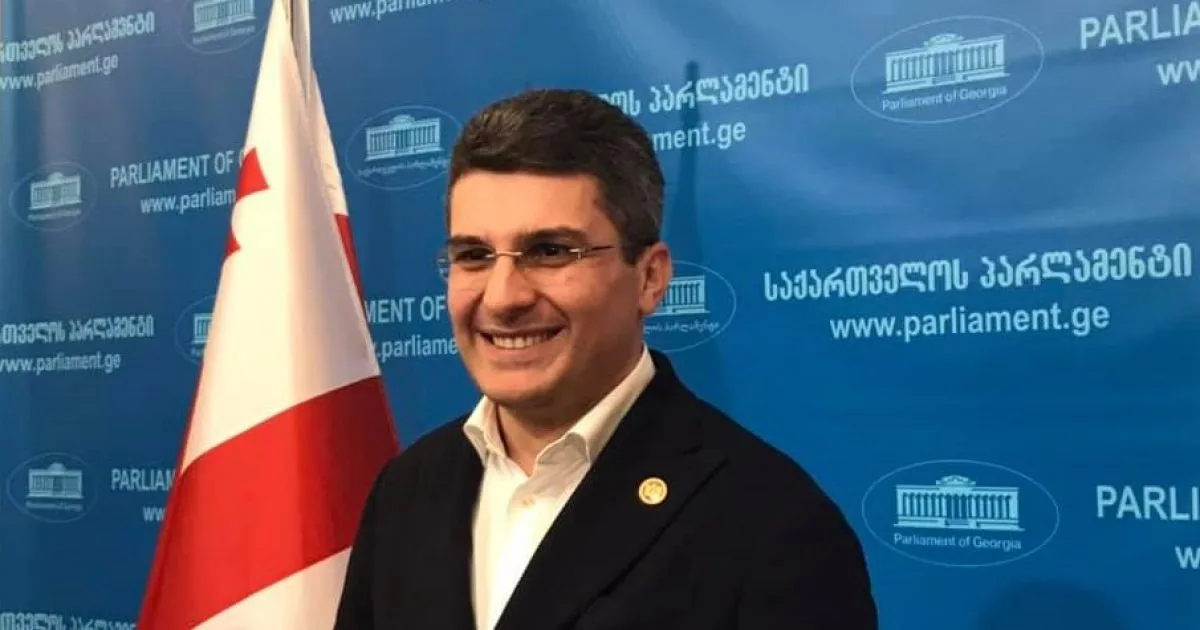 სამმართველოს შექმნის მერე, სოციალურ ქსელებში გინება შემცირებულია - მდინარაძე