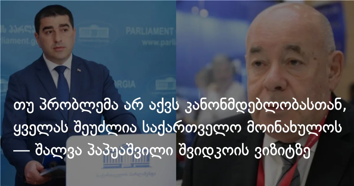 ვისაც სურს საქართველოს მონახულება, თუკი პრობლემა არ აქვს კანონმდებლობასთან, ყველას შეუძლია მოინახულოს — შალვა პაპუაშვილი მიხაილ შვიდკოის ვიზიტზე