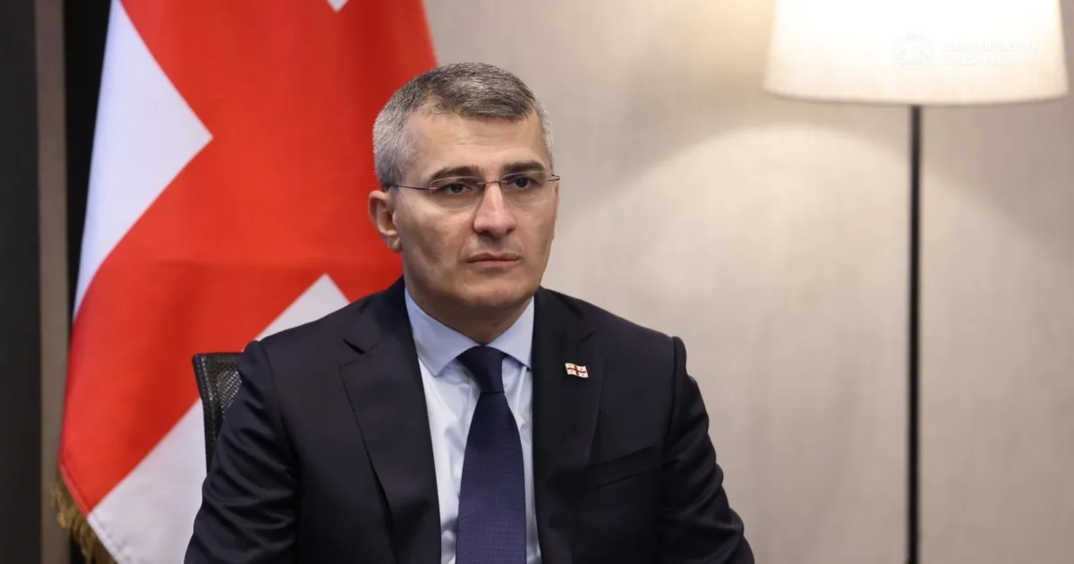 სახელმწიფო დაცვის სამსახური დრონების საწინააღმდეგო სისტემებს შეიძენს - მდინარაძე