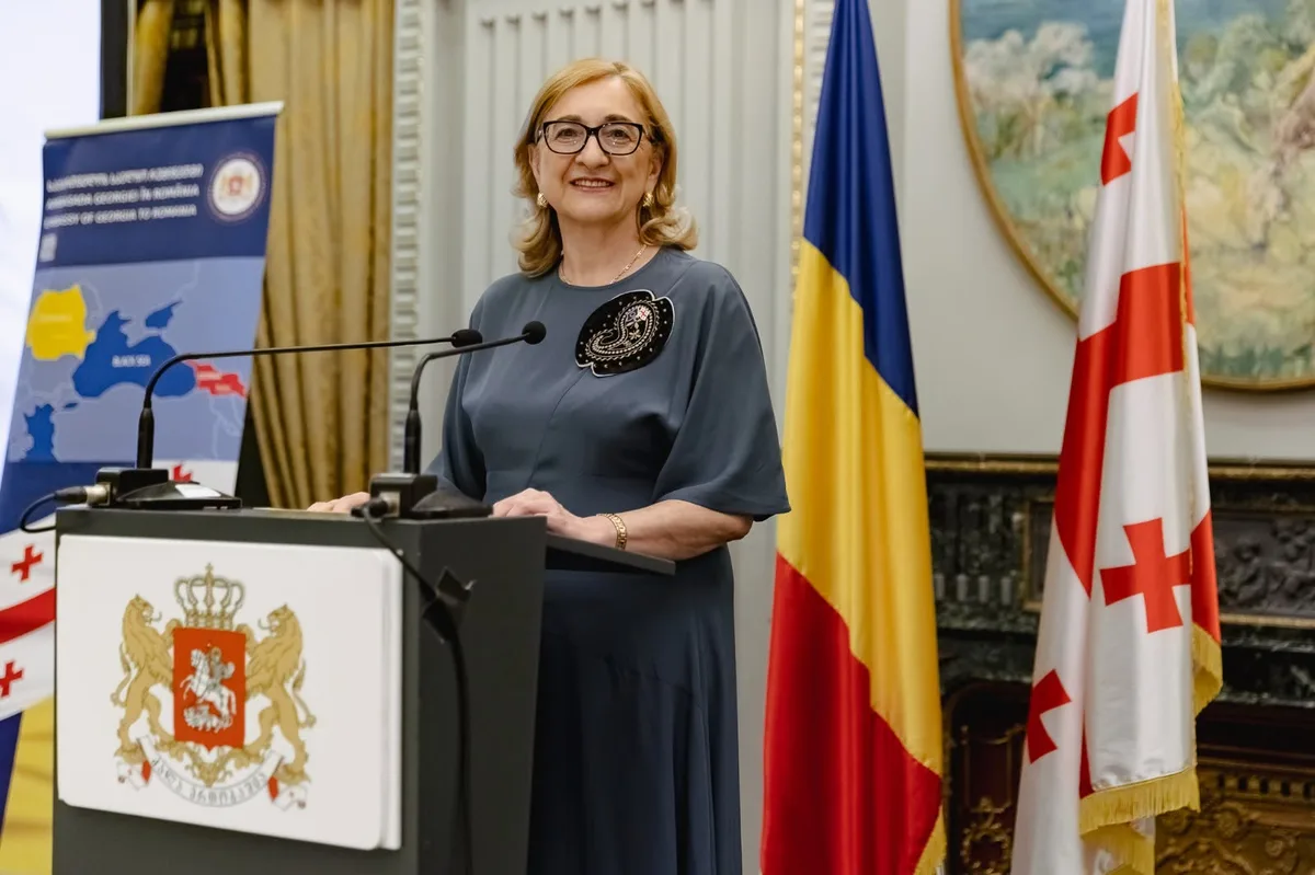თამარ ბერუჩაშვილი ახლადშექმნილ დიპლომატიის აკადემიას უხელმძღვანელებს