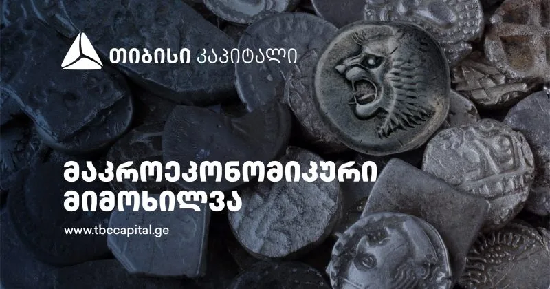 თიბისის მხარდაჭერით, საქართველოს ნაკრები EJOI 2026-ზე გაემგზავრება