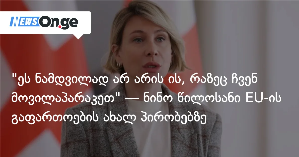 ნინო წილოსანი ევროკავშირის გაფართოების ახალ პირობებზე: 
